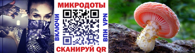 Галлюциногенные грибы Psilocybe Купить Никольск